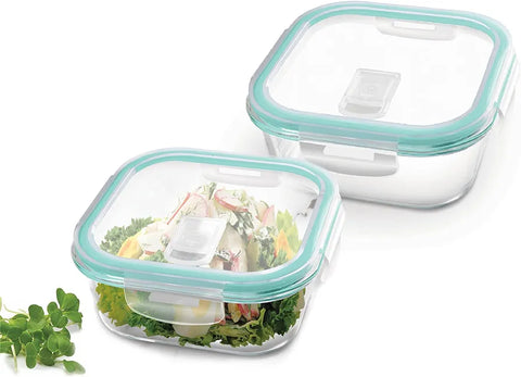 FRIGO STAKLENA POSUDA