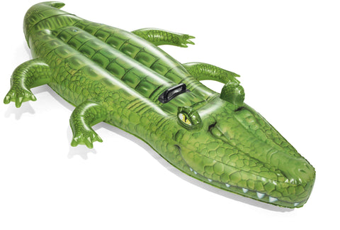 Dušek krokodil