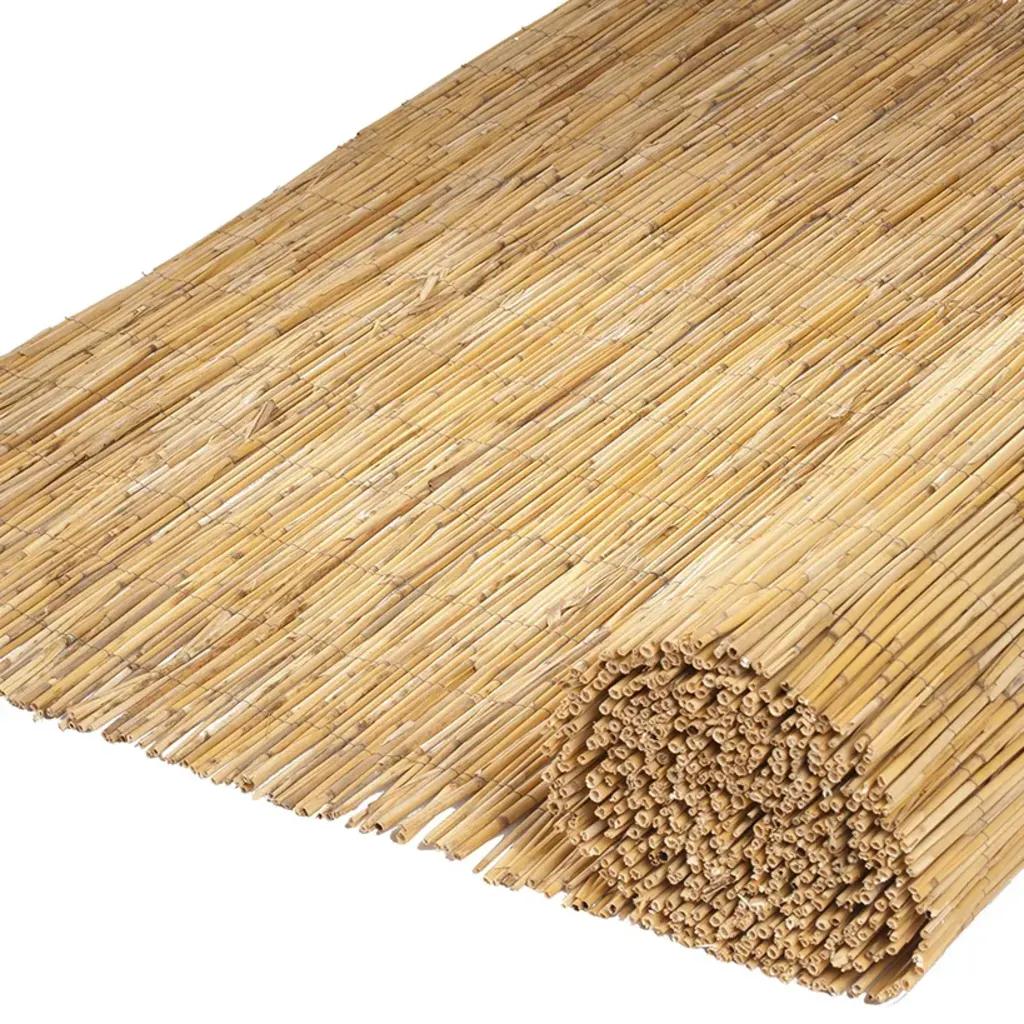 Sjenilo bambus - Trstika