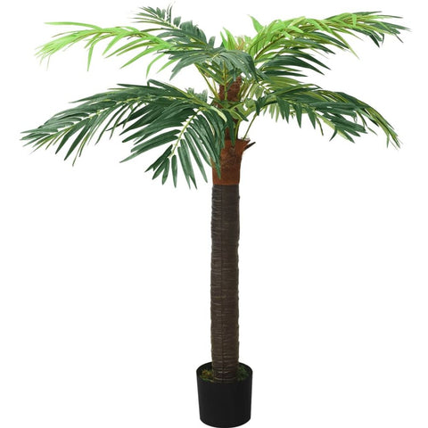 Palma drvo u saksiji 2,6m - Y917