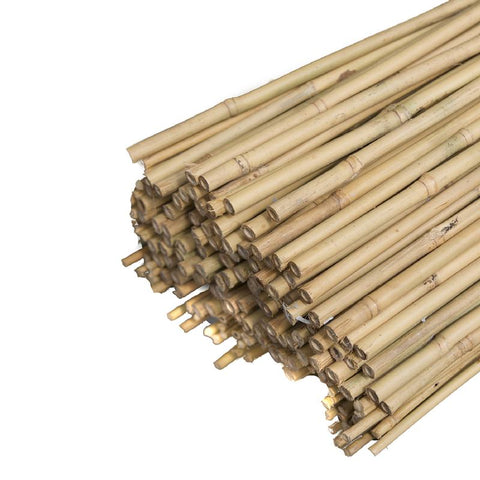 Kolac bambus  FI-0,80